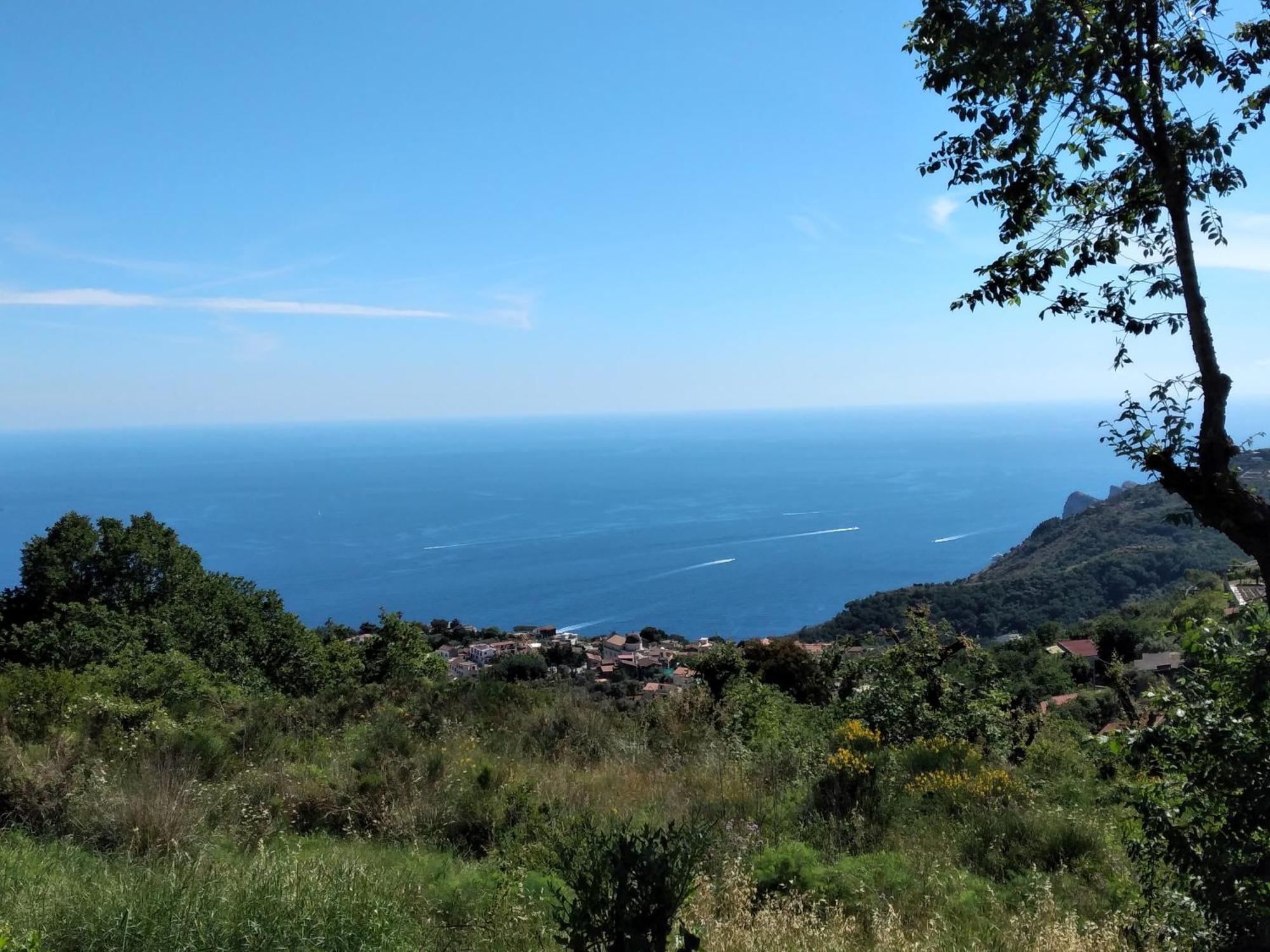 Villa Pietralta Сорренто Экстерьер фото